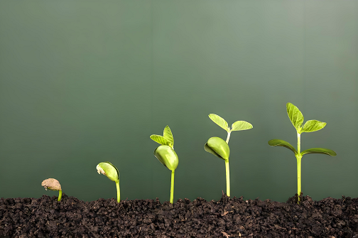 1761881906927392.png downloaded-image (7).png