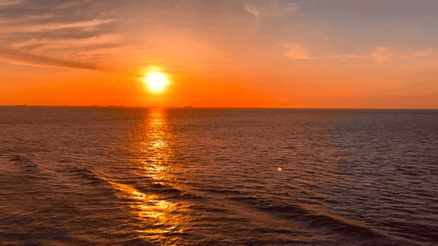 1780559211480710.gif 0.gif